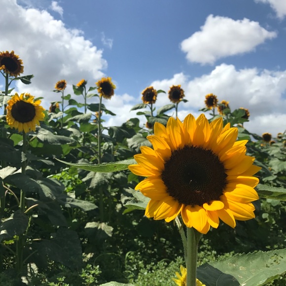 Meet your Posher, Stephanie - Picture 2 of 5